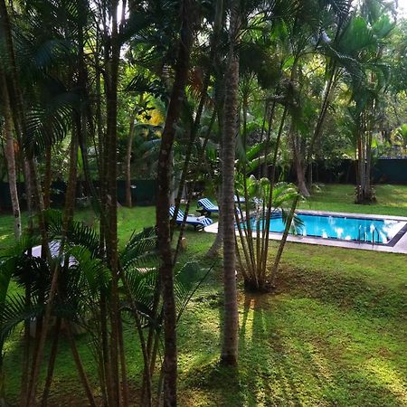 Chandra Villa Ayurveda Resort ベントータ エクステリア 写真