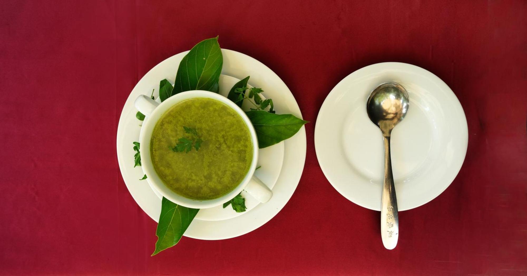 Chandra Villa Ayurveda Resort ベントータ エクステリア 写真