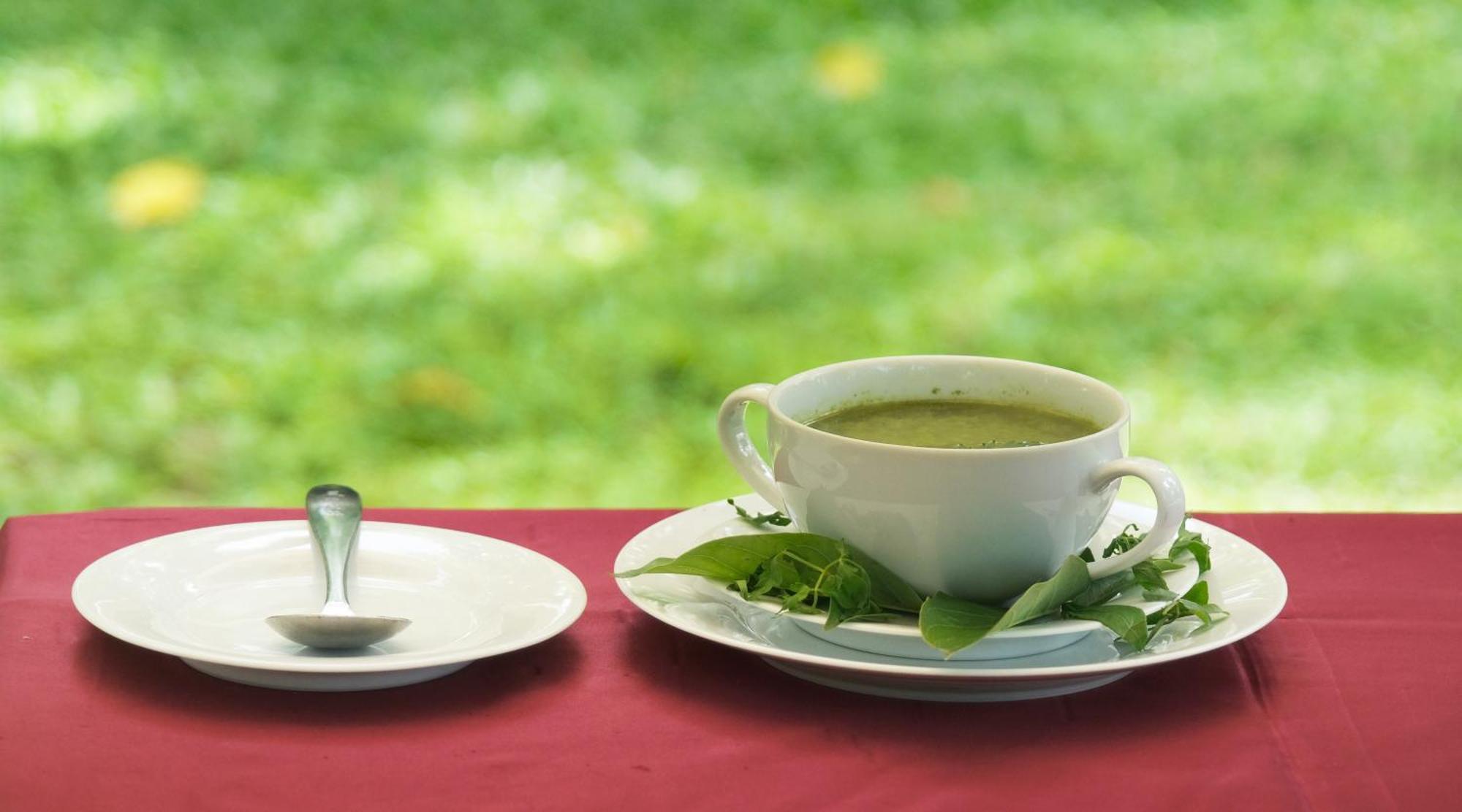 Chandra Villa Ayurveda Resort ベントータ エクステリア 写真